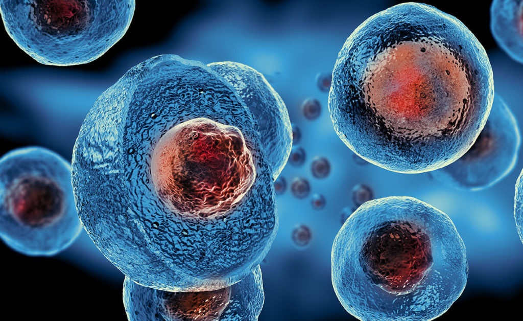 The Truth About Stem Cell Therapy
